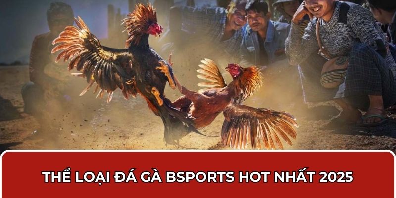 Thể loại đá gà Bsports hot nhất 2025